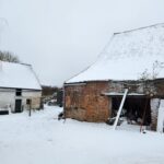 WhatsApp Image 2026-01-28 at 17.04.29