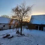 WhatsApp Image 2026-01-28 at 17.04.46 (2)