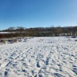 WhatsApp Image 2026-01-28 at 17.04.47 (1)