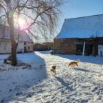 WhatsApp Image 2026-01-28 at 17.04.47 (2)