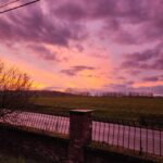 WhatsApp Image 2026-01-28 at 17.04.47 (4)