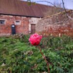 WhatsApp Image 2026-01-28 at 17.04.47 (5)